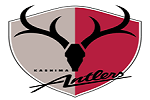 Kashima Antlers