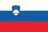 Slovenia flag png large