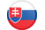 Slovakia flag button round icon 256