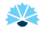 Kokoomus