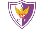 Centro Atletico Fenix