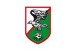 Sokol Kleczew