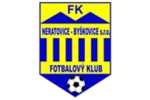 Neratovice Byskovice
