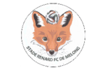 Stade Renard
