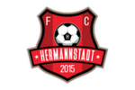 AFC Hermannstadt