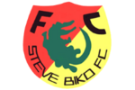 Steve Biko FC