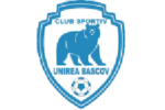Unirea Bascov