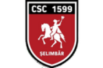 CSC 1599 Selimbar