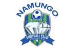 Namungo FC