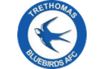 Trethomas Bluebirds