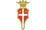 SSD Treviso FBC 1993