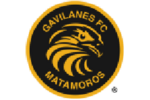 Gavilanes FC Matamoros