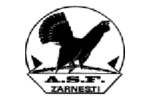 Olimpic Zarnesti