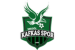 Inegol Kafkas Genclikspor