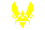 Team vitality