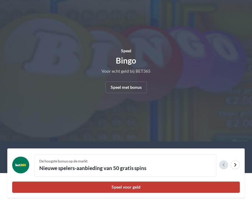 Online Bingo Handleiding