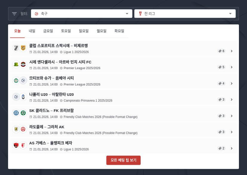 축구 토토 승무패 분석