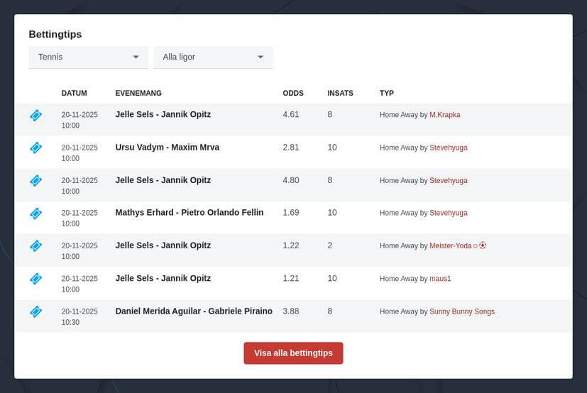 Tennis spelförslag 2025