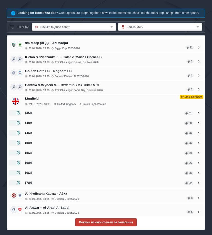 Залози на волейбол