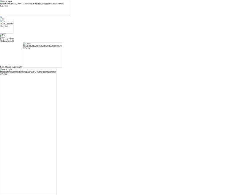 1.FC Magdeburg - SC Paderborn 07 Nhận định và mẹo cược