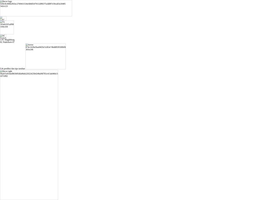 1.FC Magdeburg - SC Paderborn 07 Prediksi dan Tips Taruhan