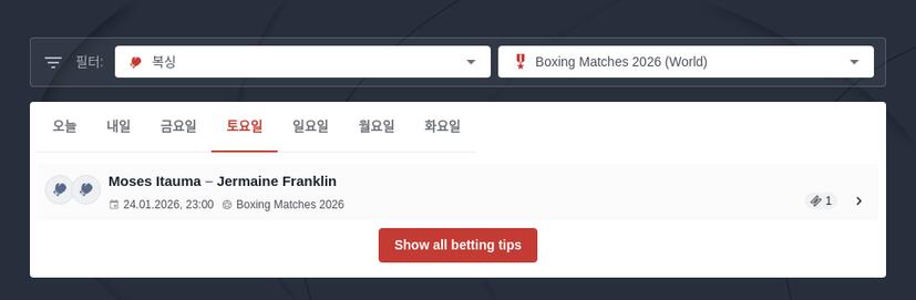 2026년 UFC 토토 완벽 가이드: 안전하게 승률 높이는 방법