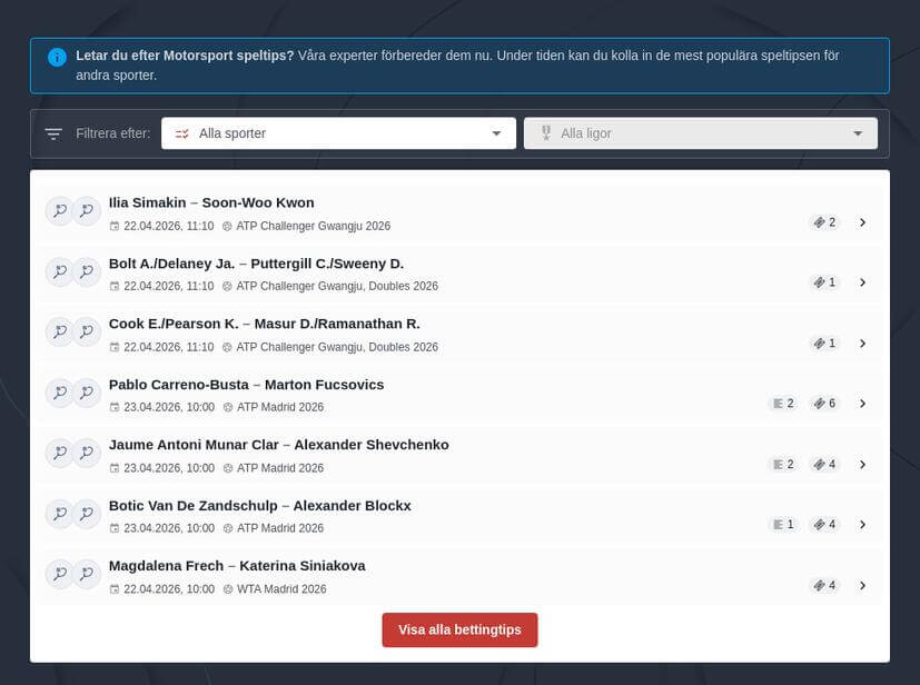 Motorsport spelförslag