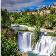 Jajce41