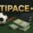 tipace