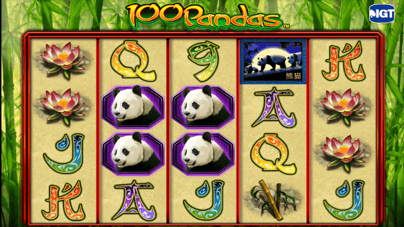 Play 100 Pandas Slot Machine with Bonus