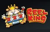 online Reel King slot machine
