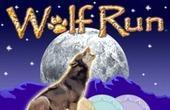 Wolf Run slot machine download