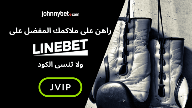 من افضل ملاكم في ذا رينج ٢٠٢٥