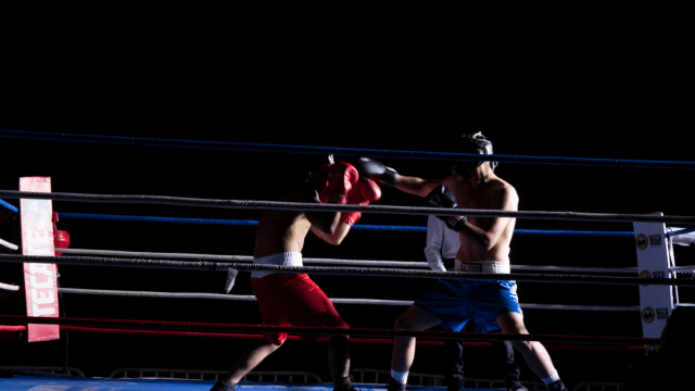 MMA залози наръчник