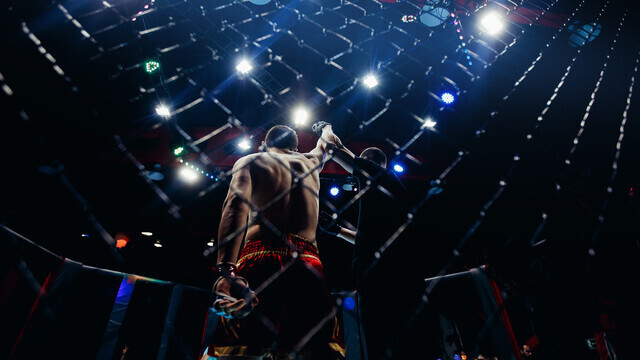 Usyk vs. Verhoeven Wetten