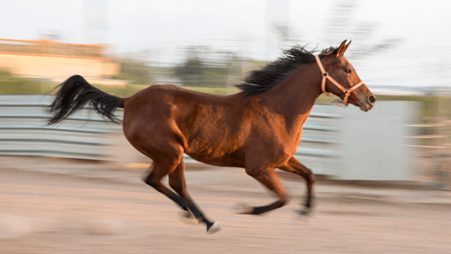 Live streaming σε Μπουκ με Κωδικό Εγγραφής