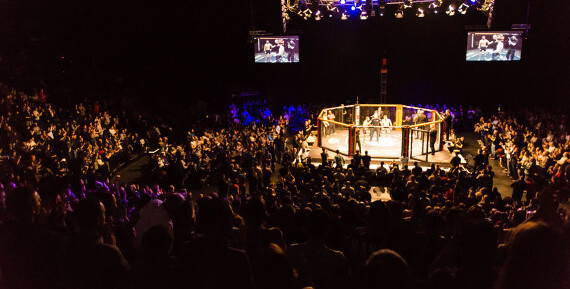 mma live stream free