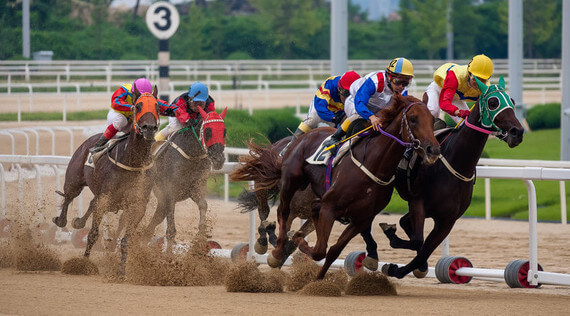 handicap in horse racing