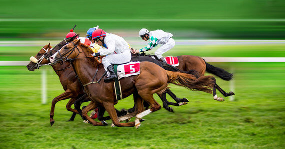 horse racing sports betting each-way system