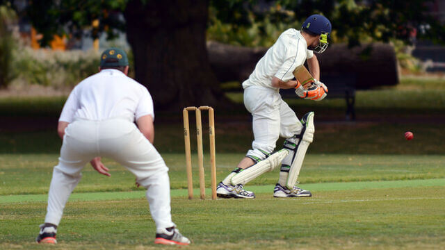 Cricket game