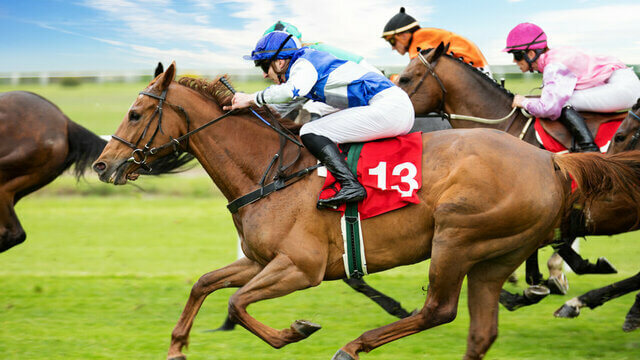 betwinner india betting offer horse racing