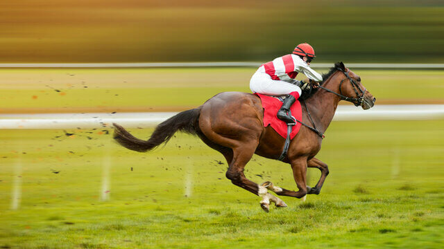 india best betting sites for virtual horse races