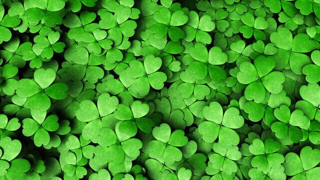 Finding four-leaf clover and winning money for free