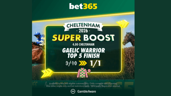 cheltenham super boost at bet365 betting offer