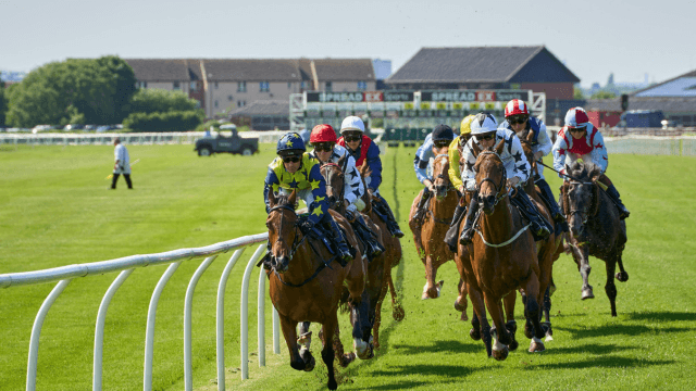 horse racing betting bookmaker for US players