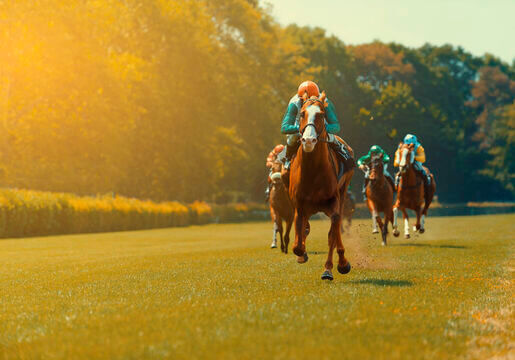 Carreras de caballos y live streaming