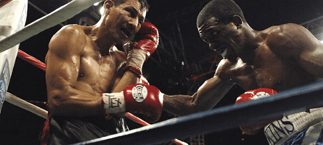 prédiction qui va gagner boxe thaï 