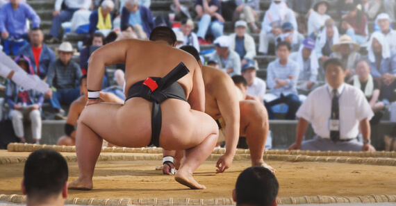 日本の相撲に賭けたい場合、1xBETが大おすすめです！