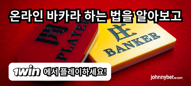 온라인 바카라 하는 법
