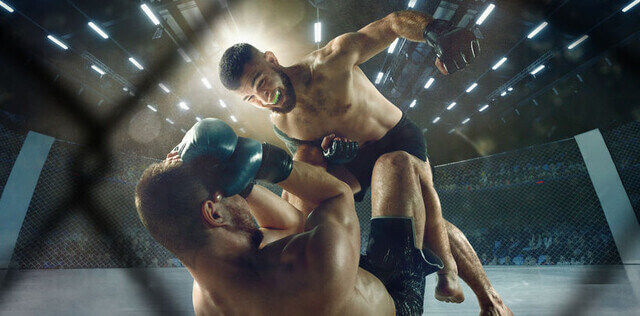 Miocic Ngannou gyvai